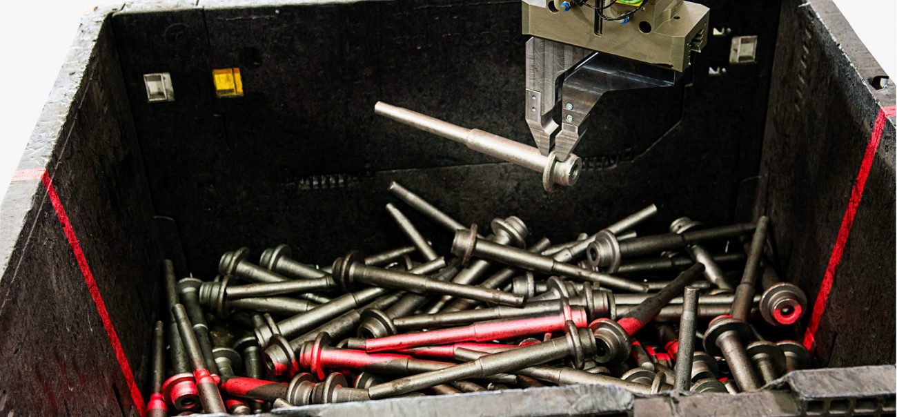 Binspect_Wellen_Boll-Logo